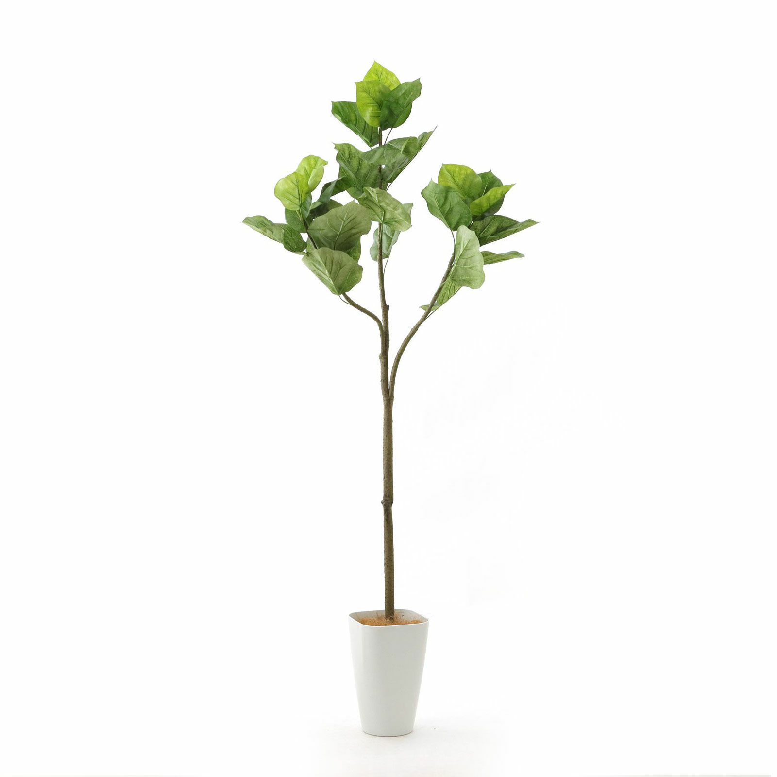 フェイクグリーン 観葉植物 フィカス ウンベラータ インテリアグリーン 造花 No92106 プレミアム光触媒フェイクグリーン 「ゆるやかな枝ぶり