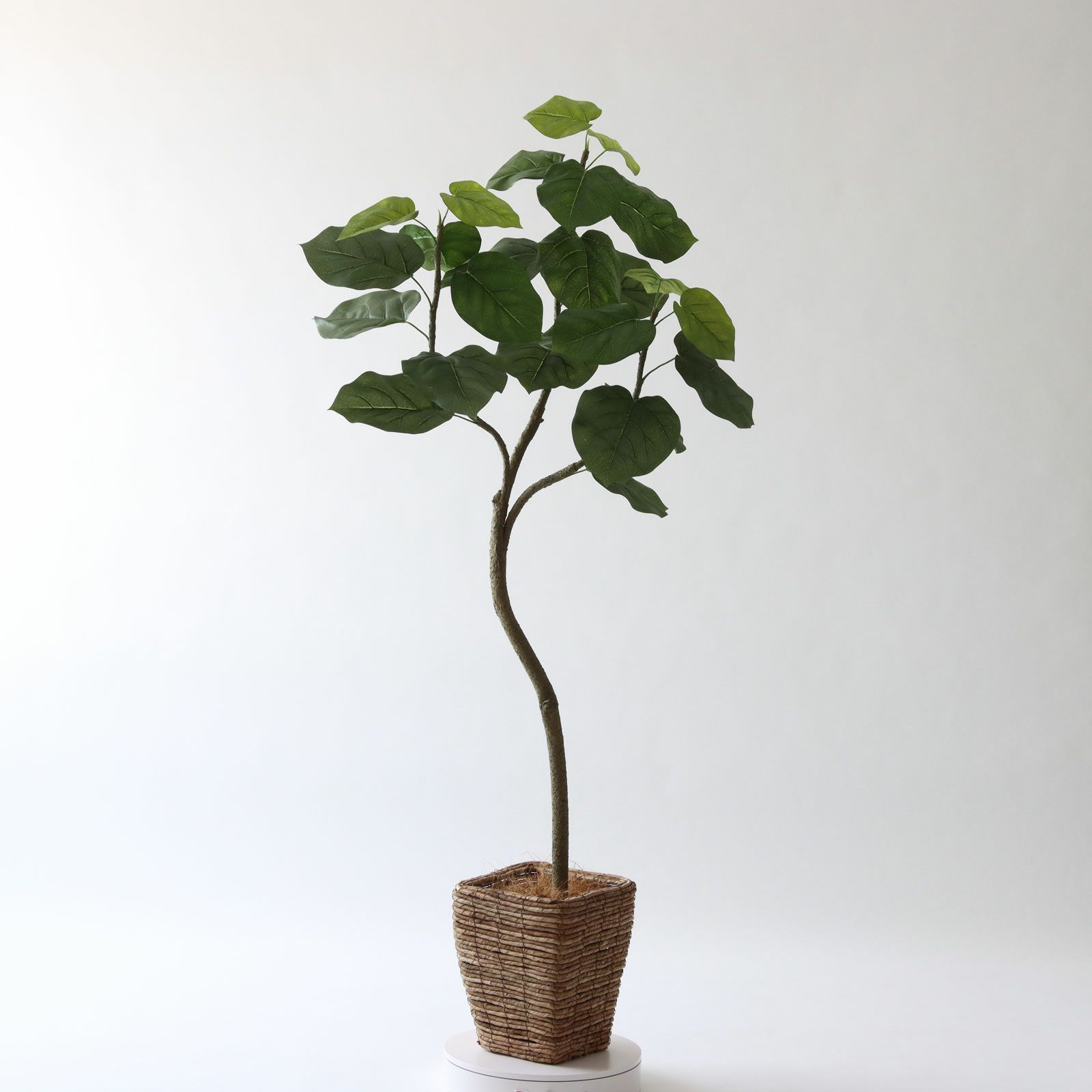 No9266 プレミアム光触媒フェイクグリーン「幹を曲げて、フォルムが