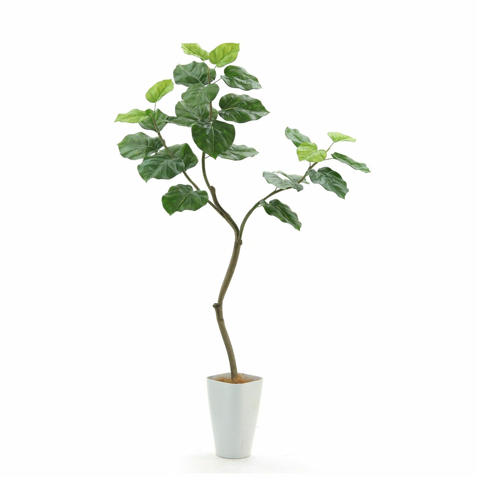 光触媒　人工観葉植物　フェイクグリーン　クネクネウンベラータwa 光触媒 人工観葉植物 ウォールグリーン フェイクグリーン