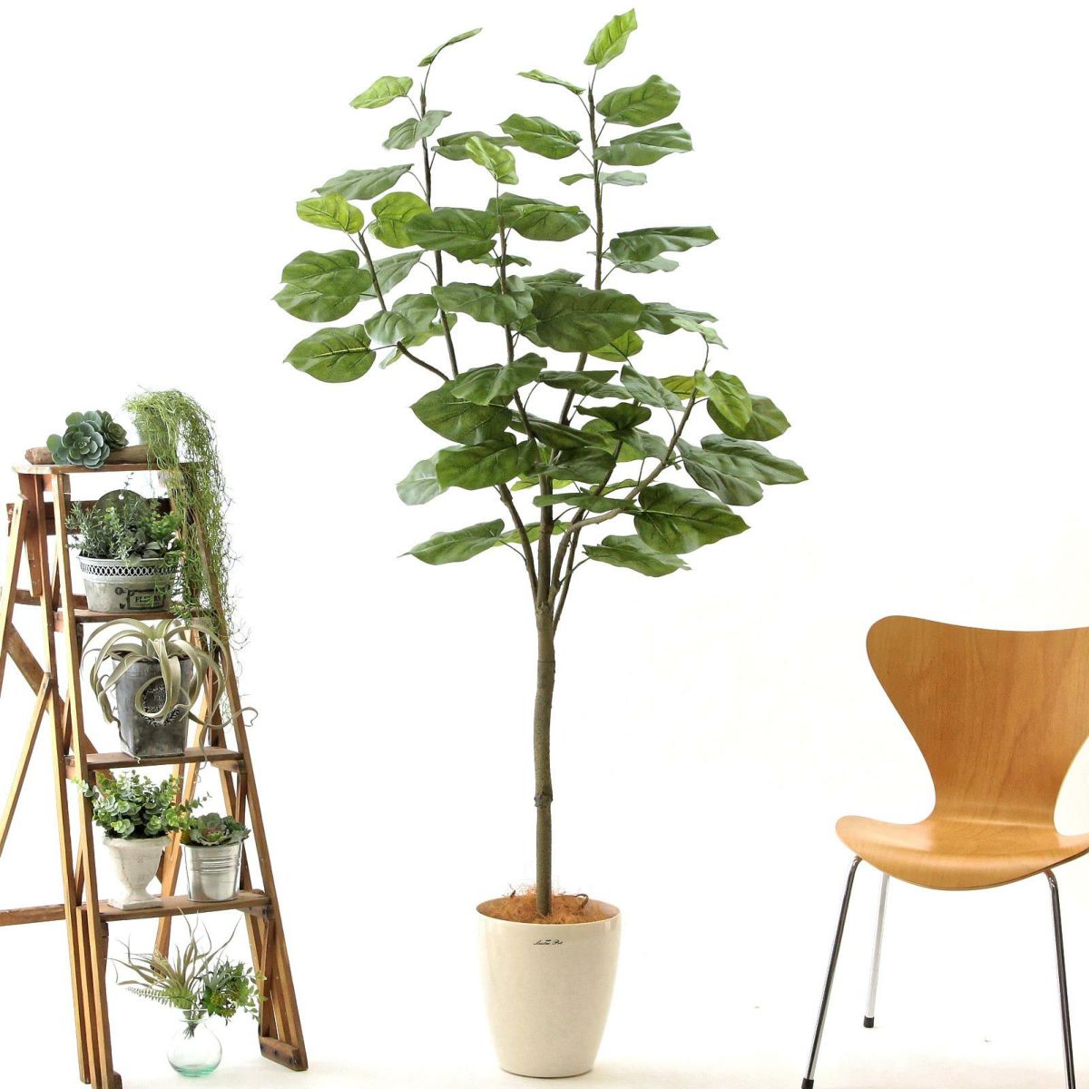 ラスターポット265＋ヤシの繊維（+2000円）