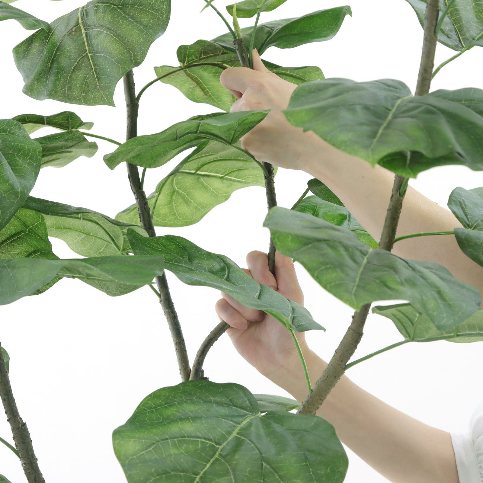 000000000057-22.jpg?t=