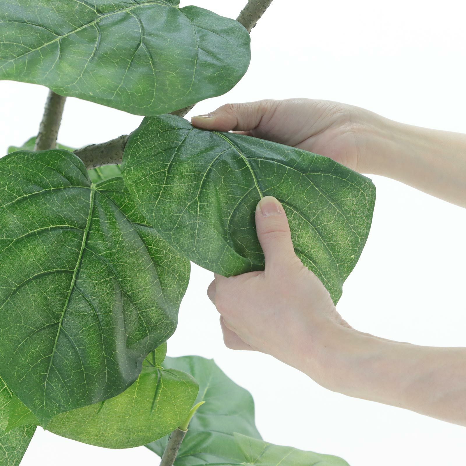 プレミアム光触媒フェイクグリーン★フィカス・ウンベラータ 5枝 高さ140cm No9267 プレミアム光触媒フェイクグリーン「広がる葉