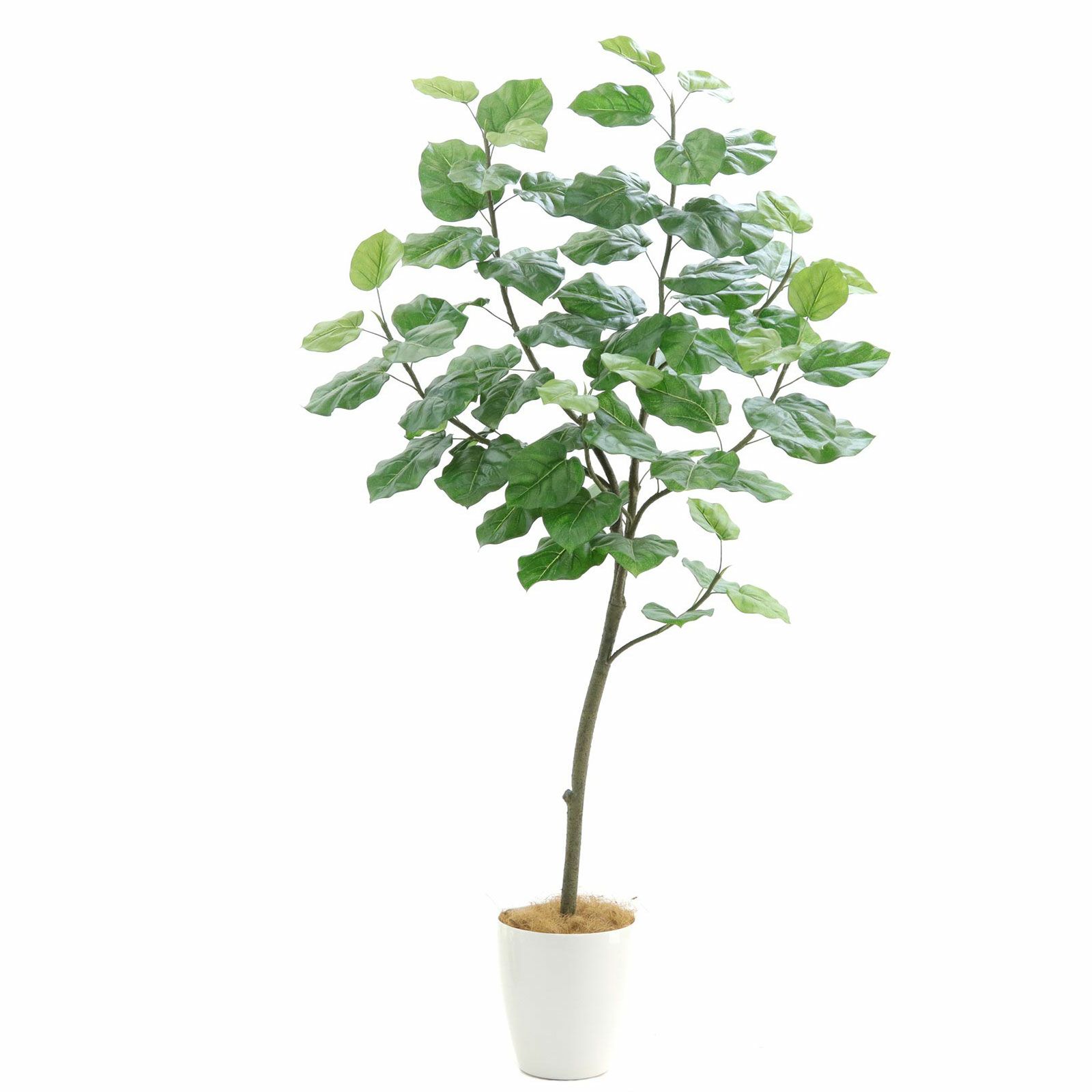 No9267 プレミアム光触媒フェイクグリーン「広がる葉 × ボリューム満点