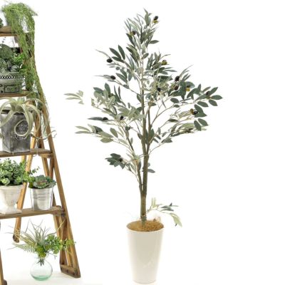 日本製 フェイクグリーン/観葉植物 【壁掛け ホヤ】 高さ50cm 光触媒 消臭