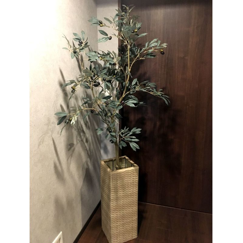 日本製 フェイクグリーン/観葉植物 【壁掛け ホヤ】 高さ50cm 光触媒 消臭