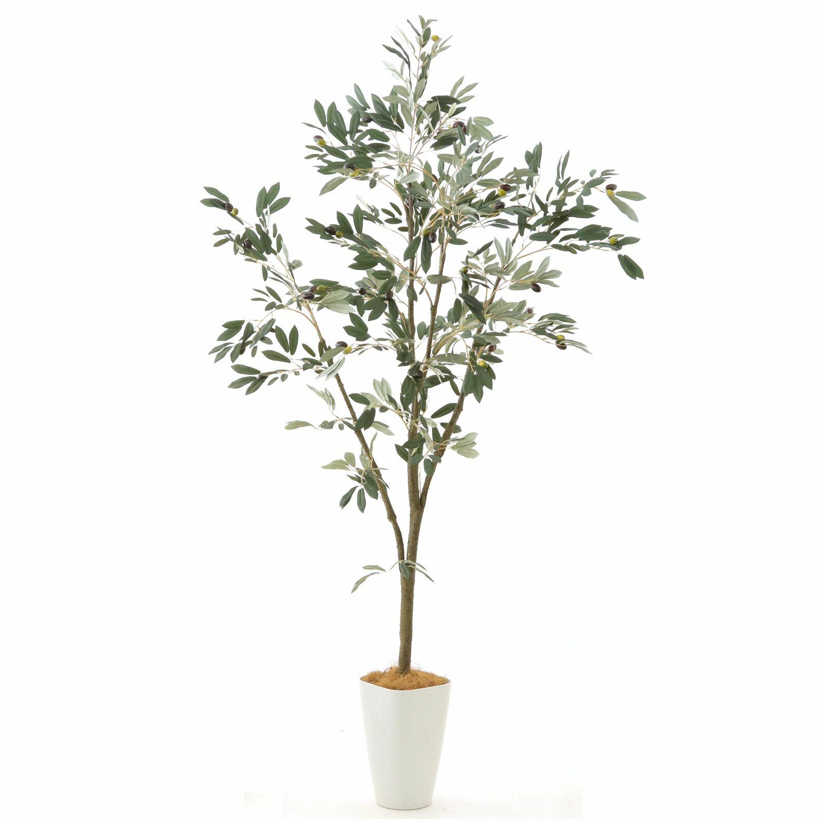 光触媒 人工観葉植物 ウォールグリーン フェイクグリーン オーガスタ