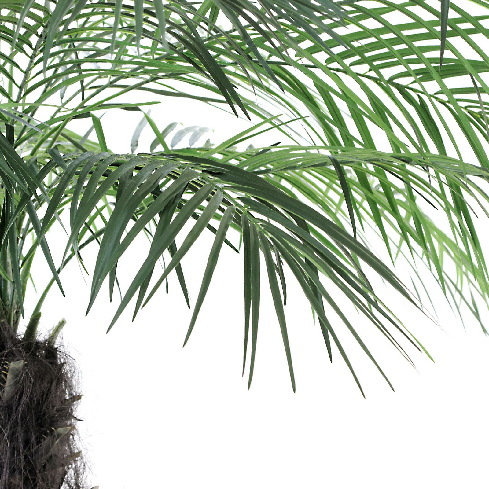 光触媒　人工観葉植物　フェイクグリーン　フェニックス パーム2本立 No9275 プレミアム光触媒フェイクグリーン「圧巻のスケール感