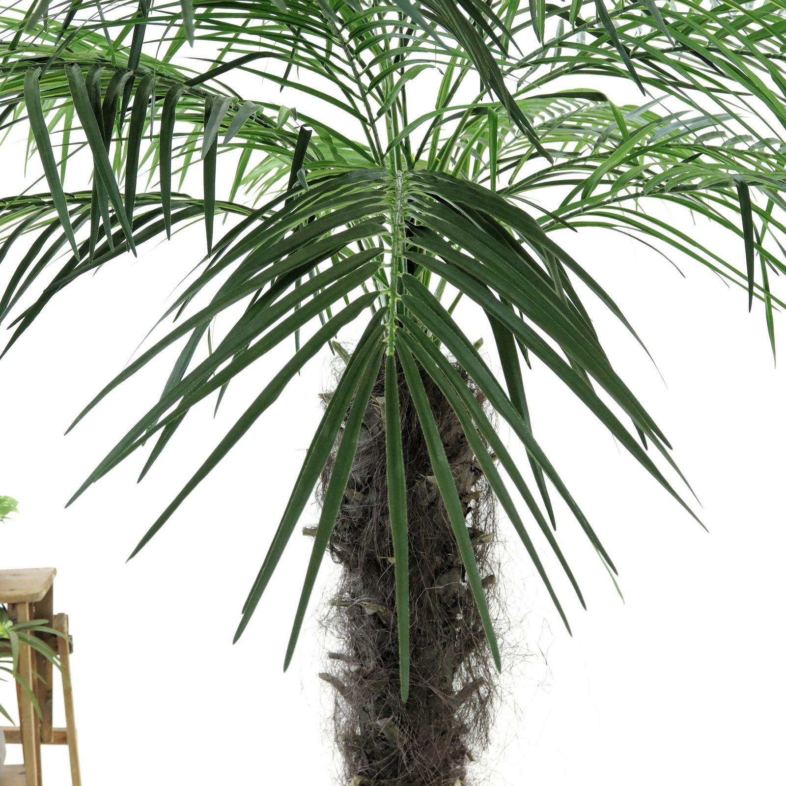光触媒観葉植物 フェニックス　ヤシの木 フェニックス 大型 観葉植物 人気 おしゃれ インテリアグリーン