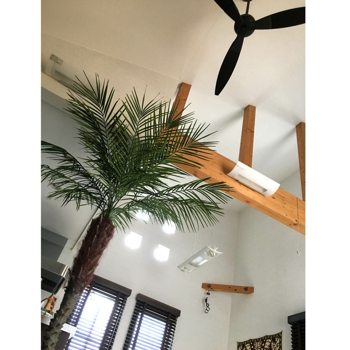 フェイクグリーン の フェニックスパームヤシ です