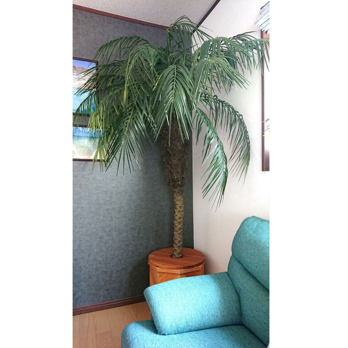 フェイクグリーン の フェニックスパームヤシ です