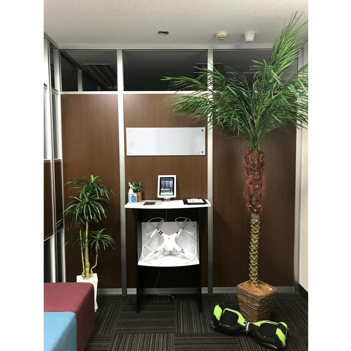 フェイクグリーン の フェニックスパームヤシ です