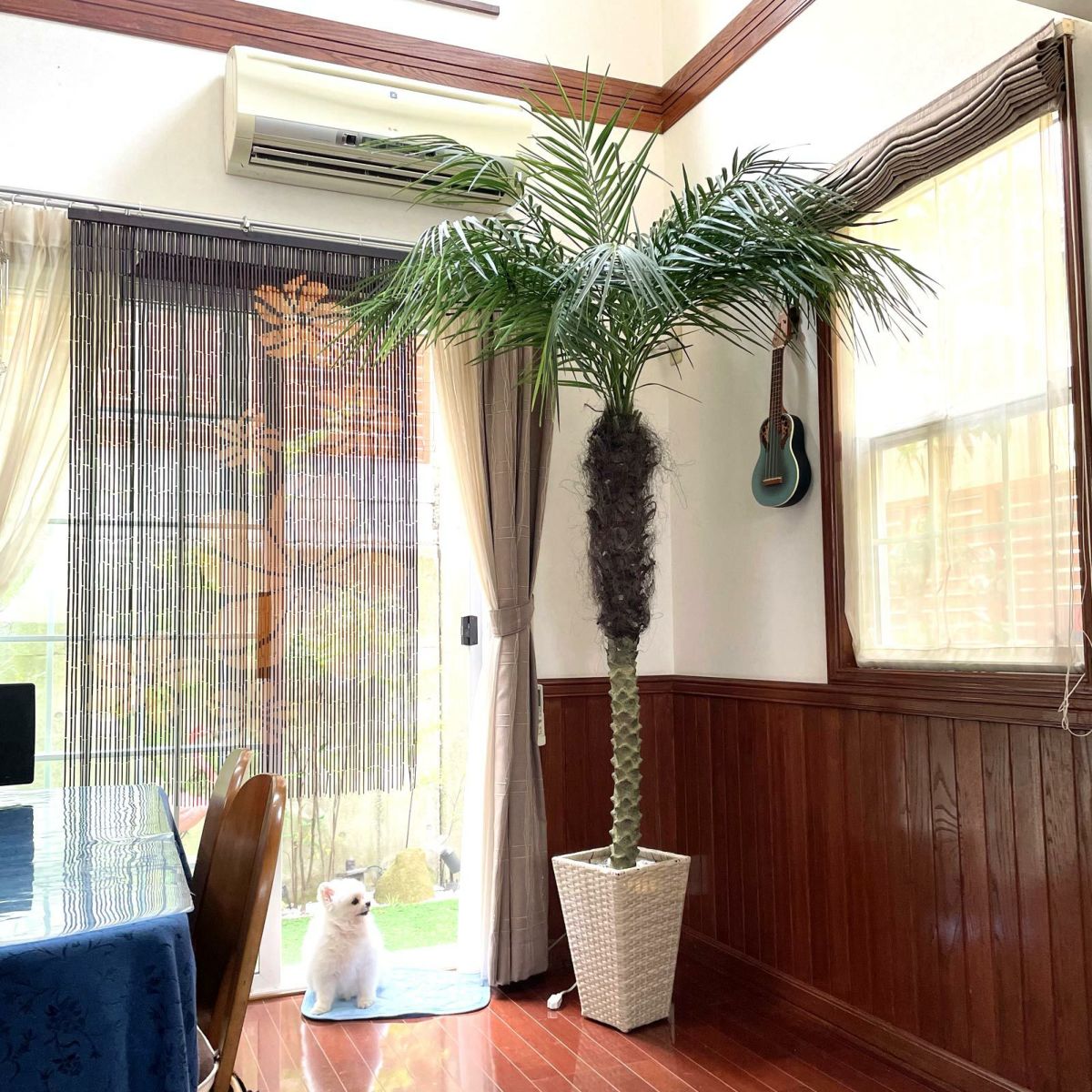 フェイクグリーン の フェニックスパームヤシ です