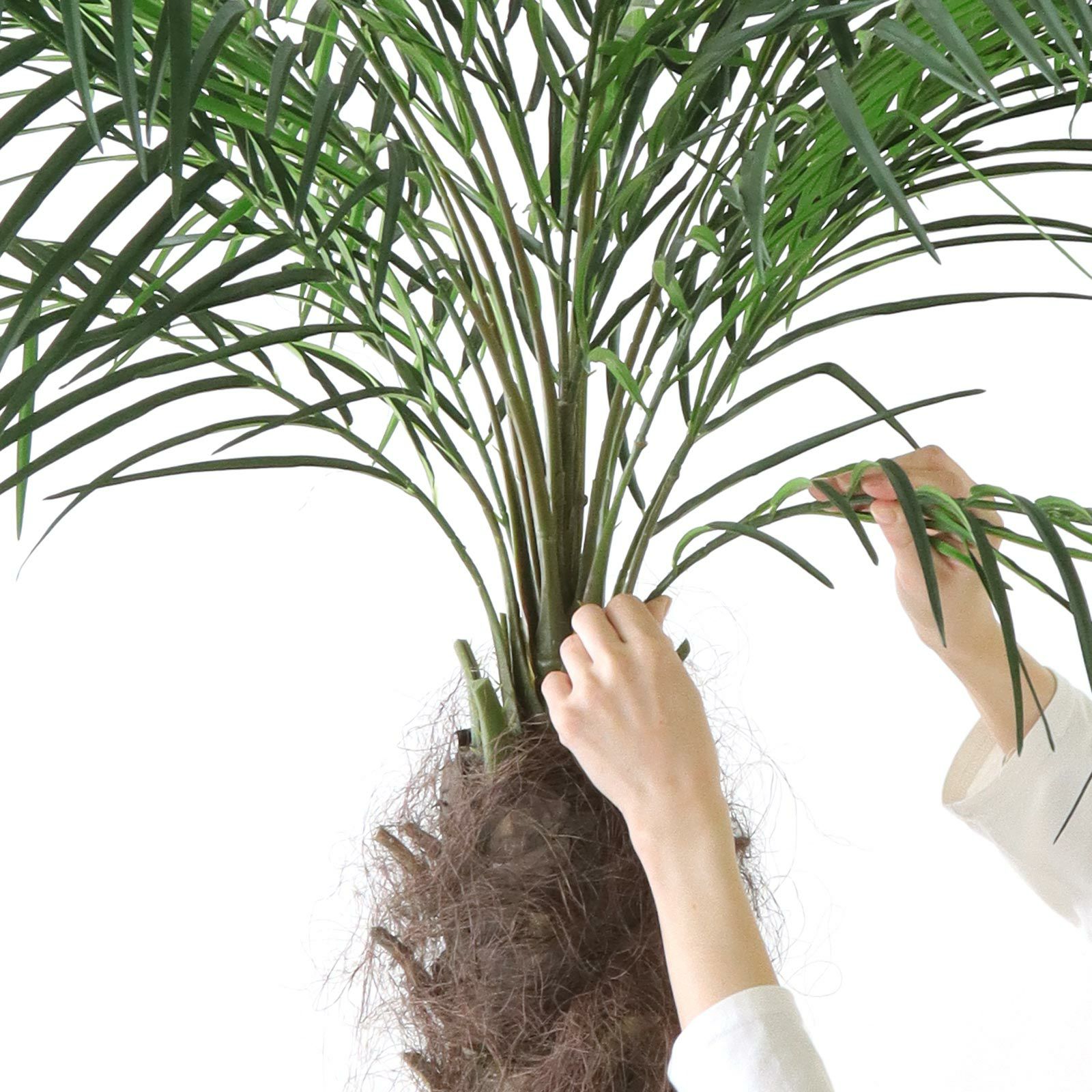 000000000062-32.jpg?t=