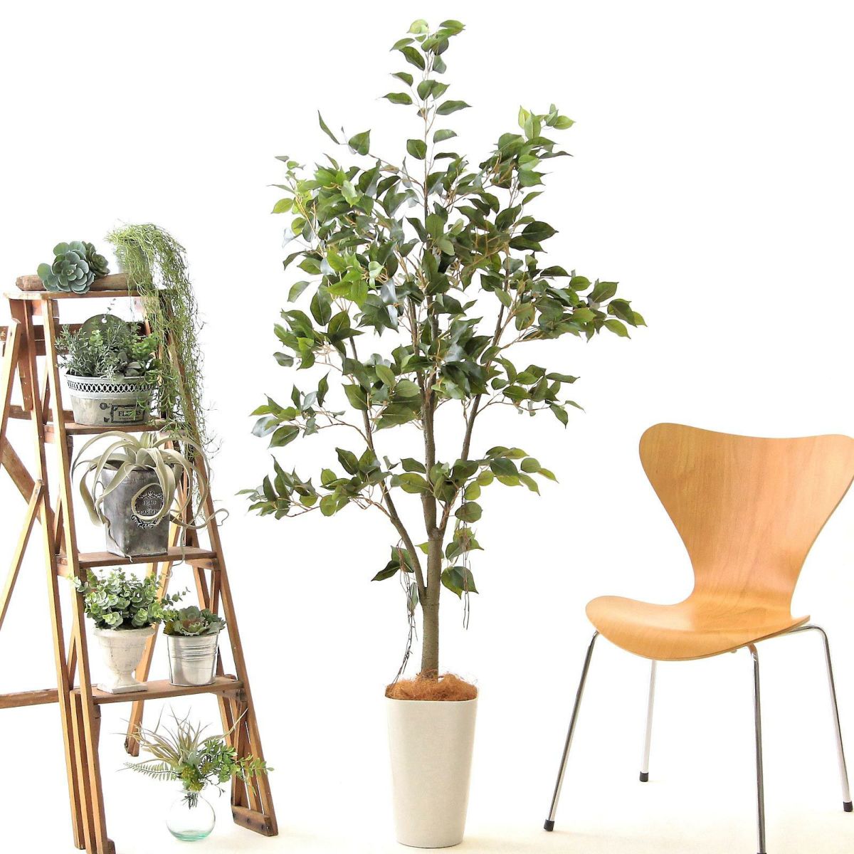 スマートポットCHIC8＋ヤシの繊維（+1500円）