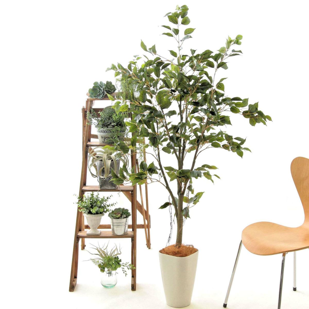 スマートポットCHIC8＋ヤシの繊維（+1500円）