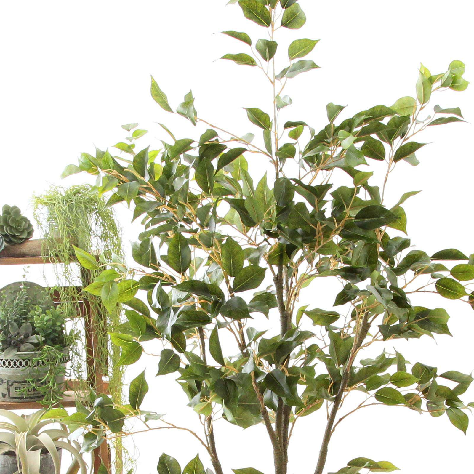 光触媒　人工観葉植物　ウォールグリーン　フェイク　フラワ　ベンジャミンフィカスw No9276 プレミアム光触媒フェイクグリーン 「繊細な葉の重なり