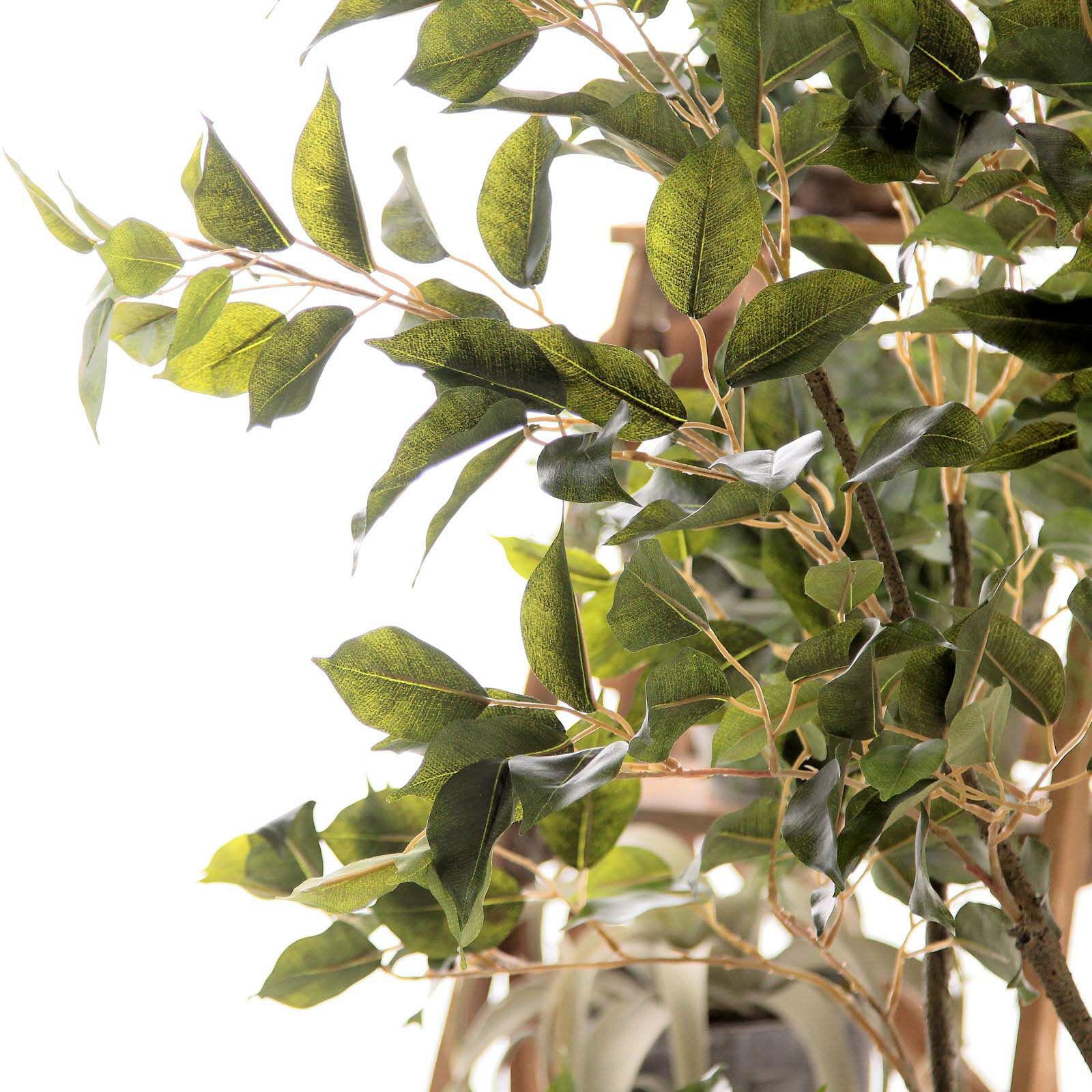 光の楽園 光触媒 人工観葉植物 フェイクグリーン ベンジャミンスリム