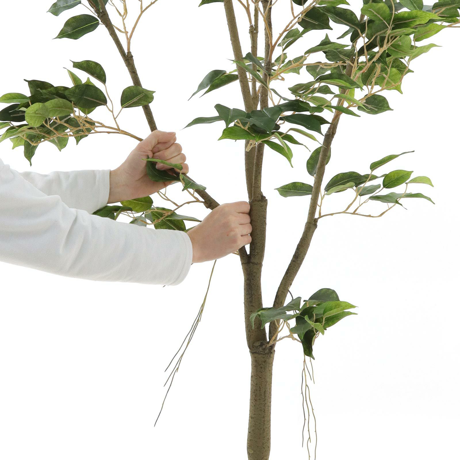 光触媒　人工観葉植物　ウォールグリーン　フェイク　フラワ　ベンジャミンフィカスw No9276 プレミアム光触媒フェイクグリーン 「繊細な葉の重なり
