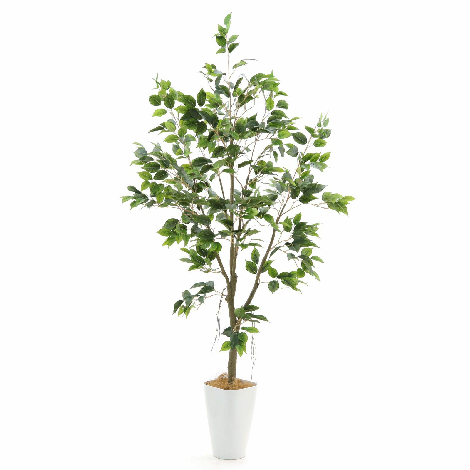 No9276 プレミアム光触媒フェイクグリーン 「繊細な葉の重なり × 自然