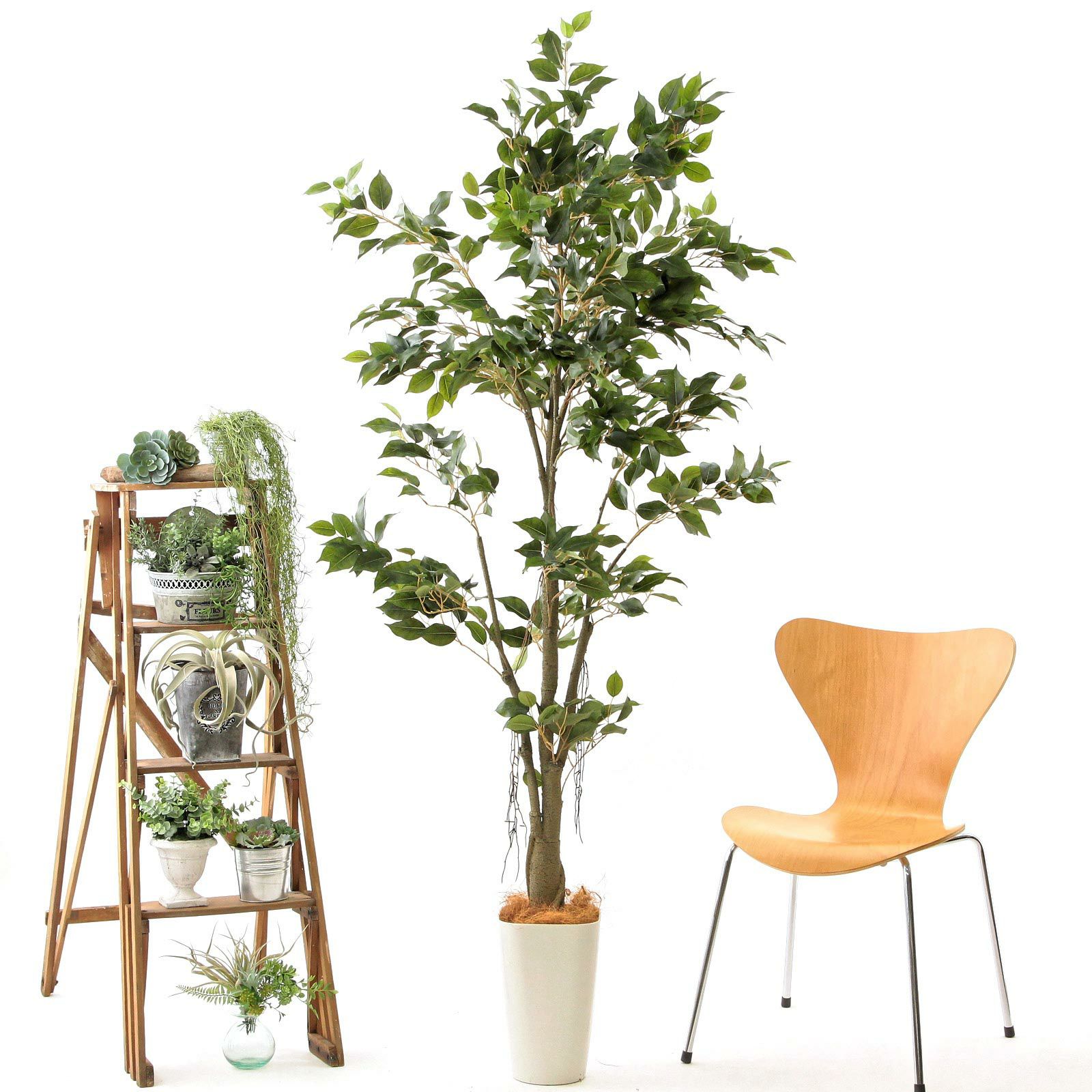 オーダーコメントページ フェイクグリーン No9277 プレミアム光触媒フェイクグリーン 「自然に広がる枝葉 × 組立