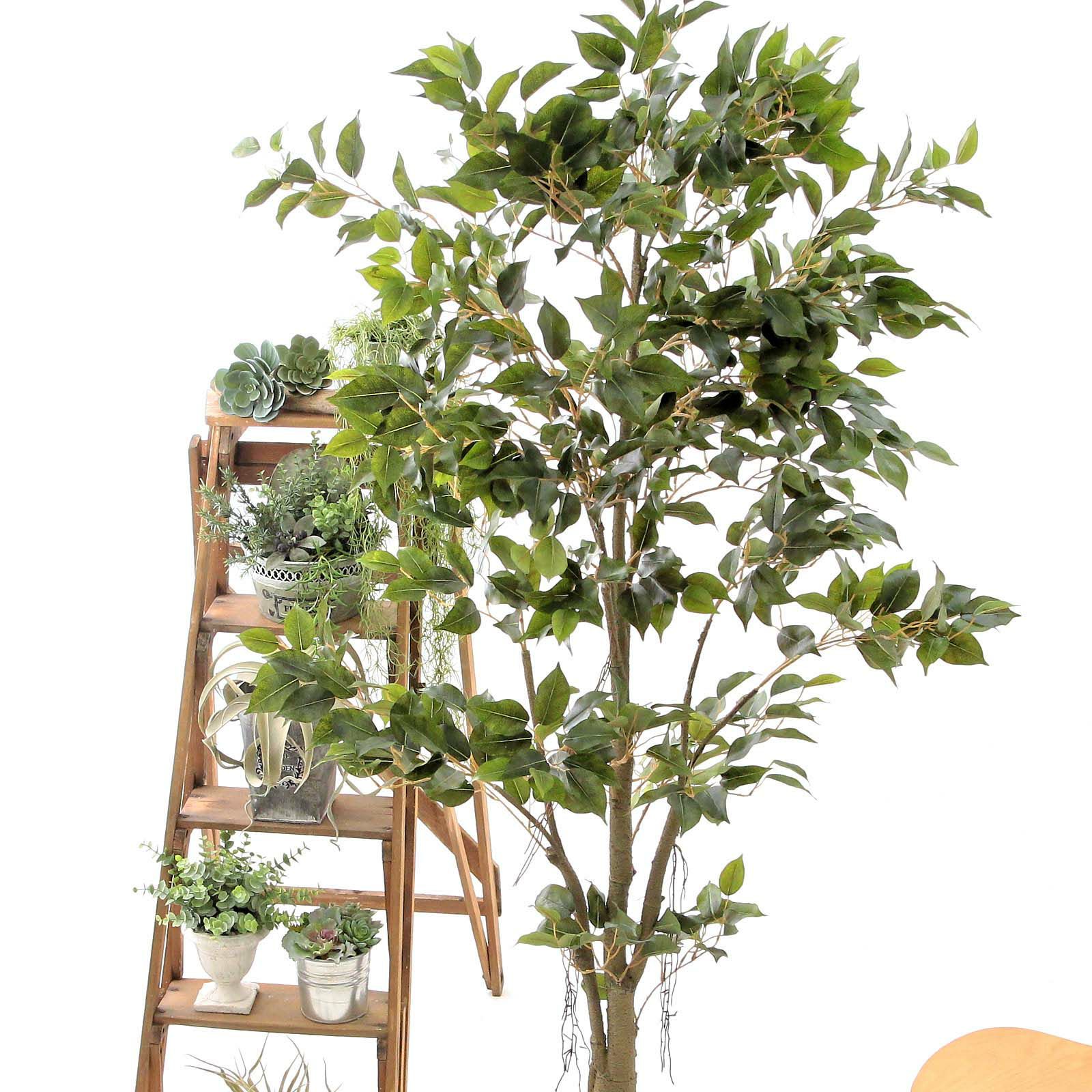 000000000064-04.jpg?t=