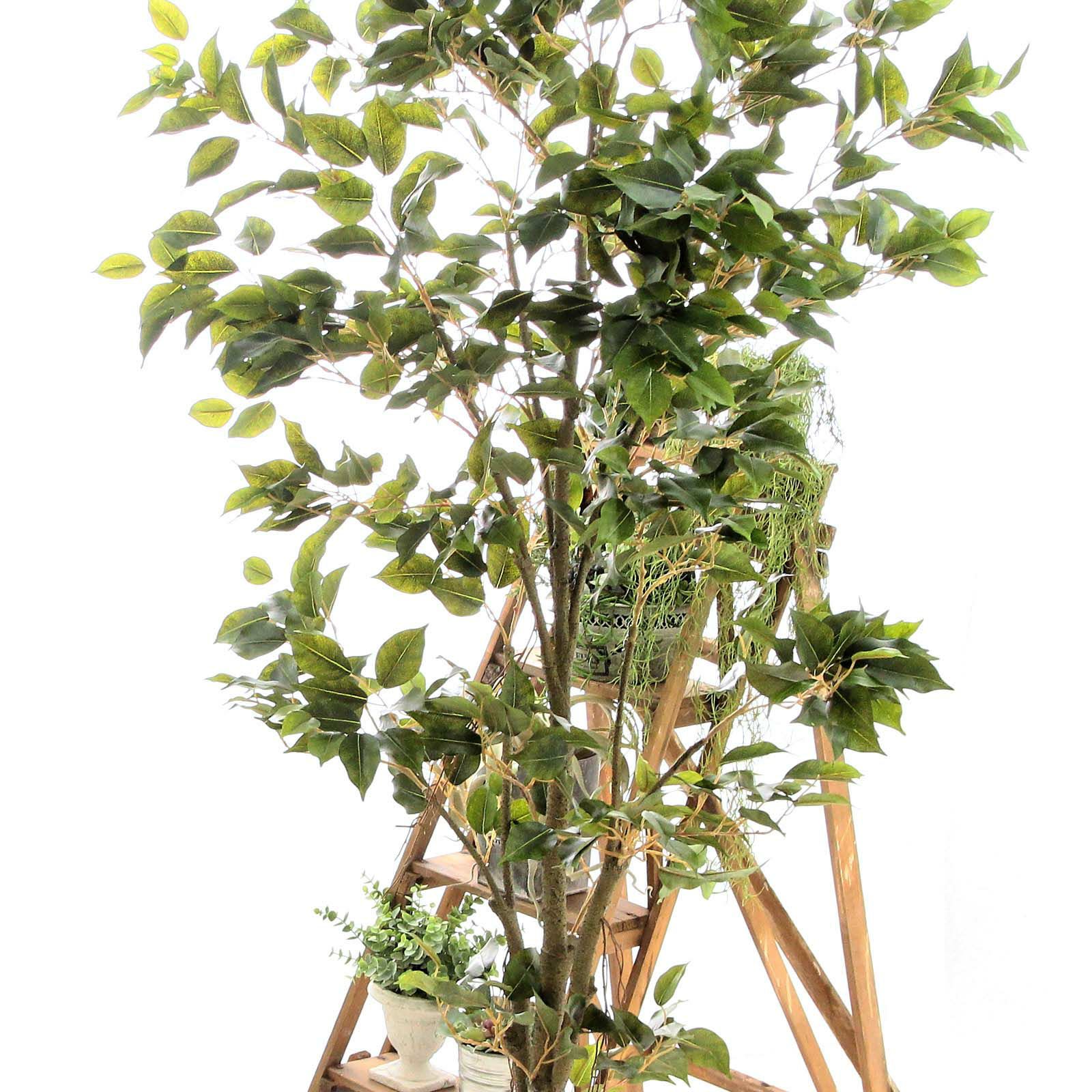 No9277 プレミアム光触媒フェイクグリーン 「自然に広がる枝葉 × 組立