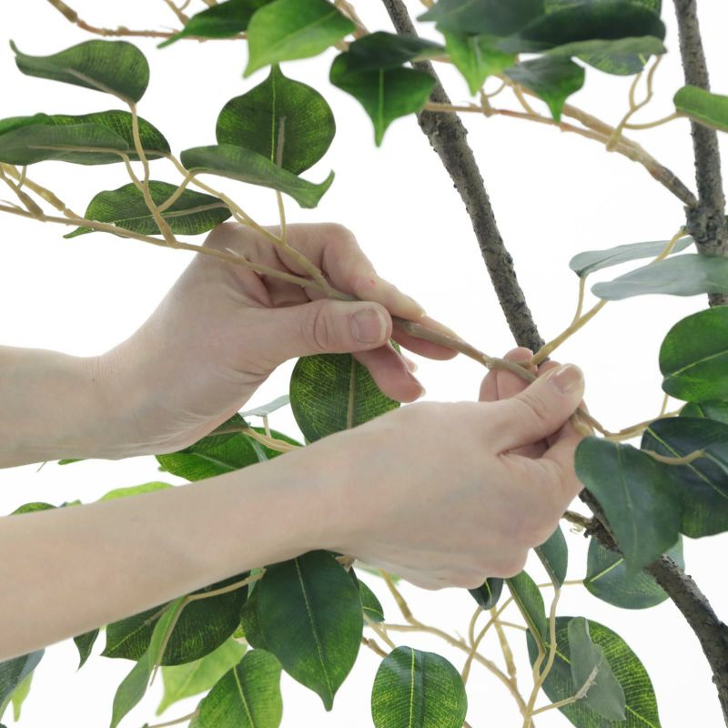 光触媒　人工観葉植物　ウォールグリーン　フェイクグリーン　ベンジャミンフィカスg 光触媒 人工観葉植物 ベンジャミン フェイクグリーン 大型