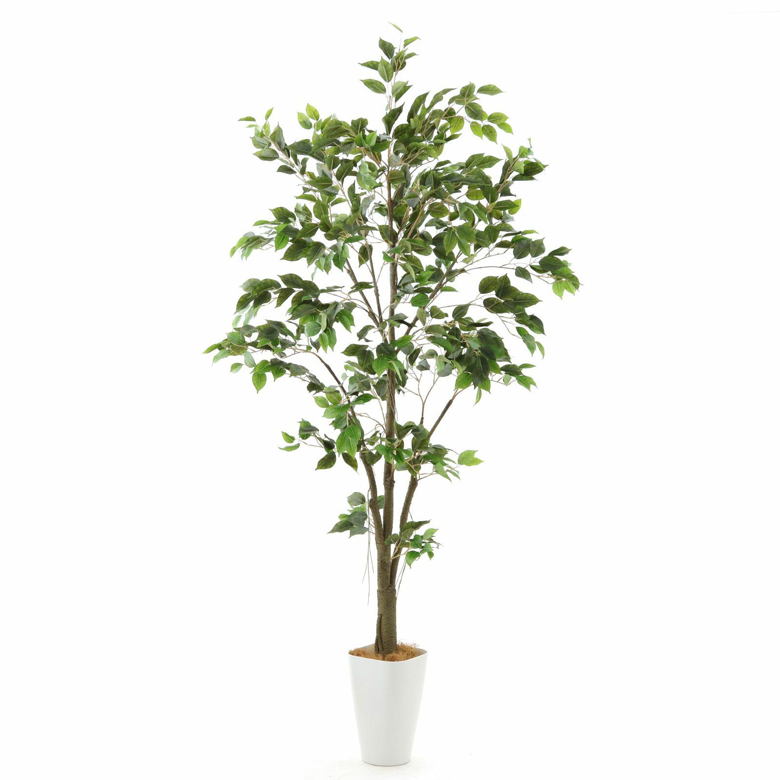 光触媒 人工観葉植物 ウォールグリーン フェイクグリーン ベンジャミンフィカスg No9277 プレミアム光触媒フェイクグリーン 「自然に広がる枝葉