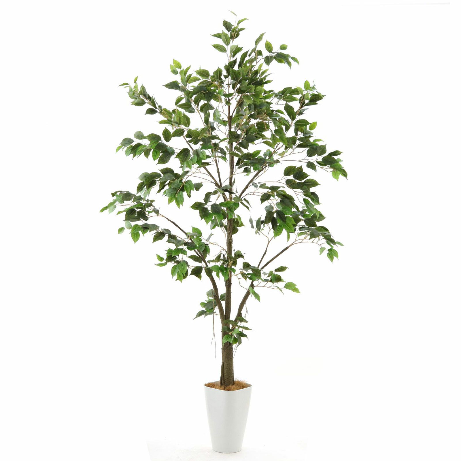 No9277 プレミアム光触媒フェイクグリーン 「自然に広がる枝葉 × 組立