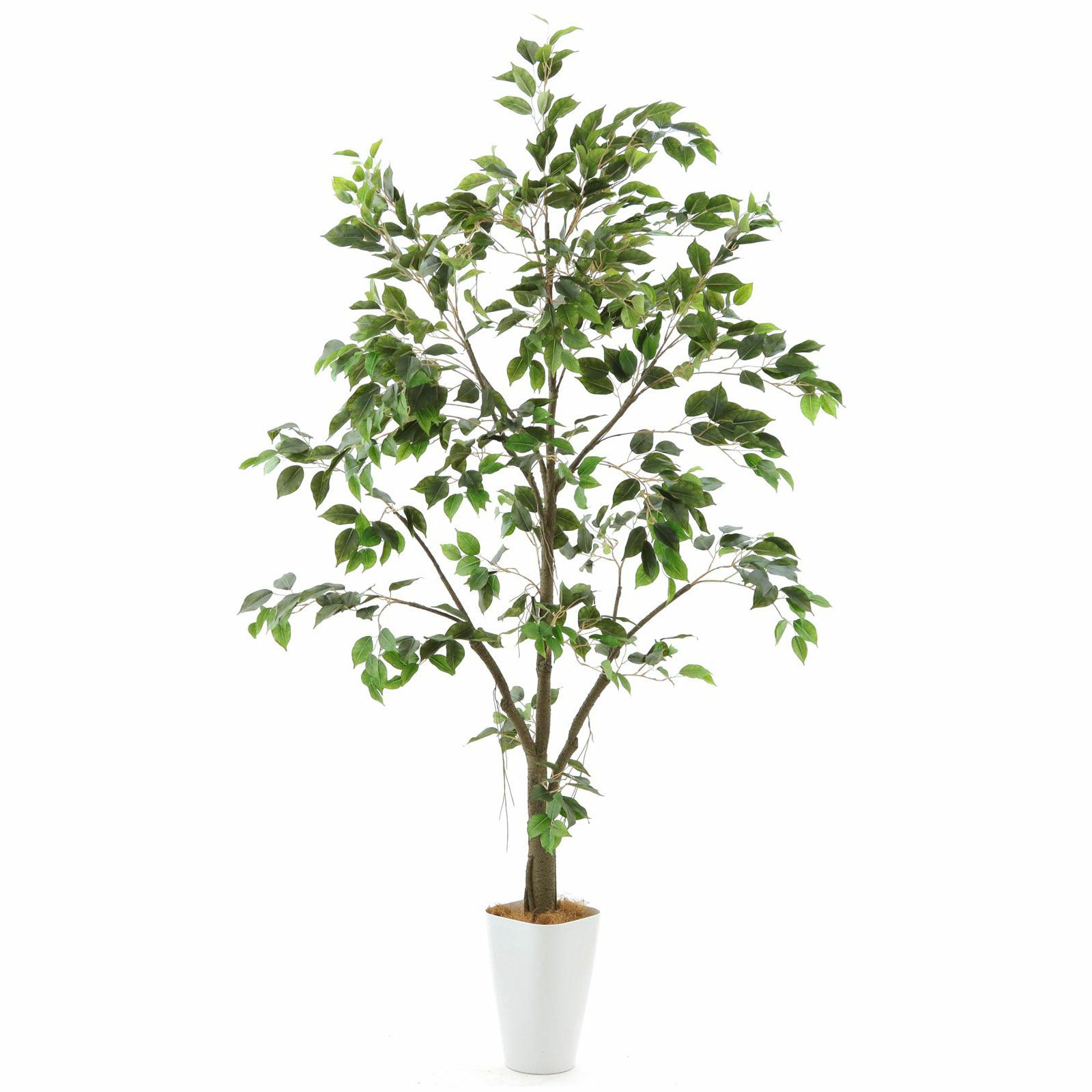 No9277 プレミアム光触媒フェイクグリーン 「自然に広がる枝葉