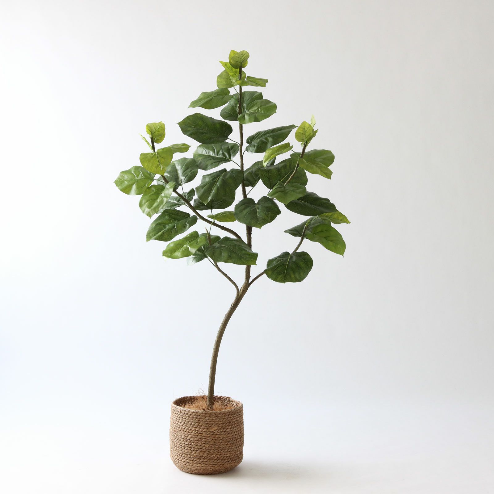 No9283 プレミアム光触媒フェイクグリーン 「柔らかな葉 × バランスの