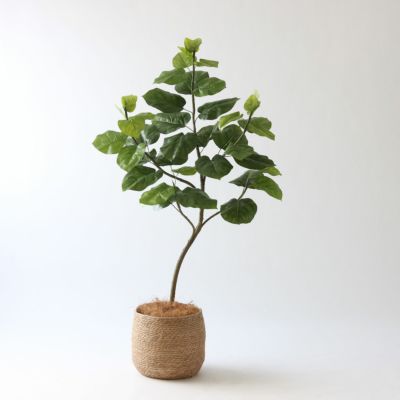 フィカス・ウンベラータ | プレミアム光触媒フェイクグリーン 造花