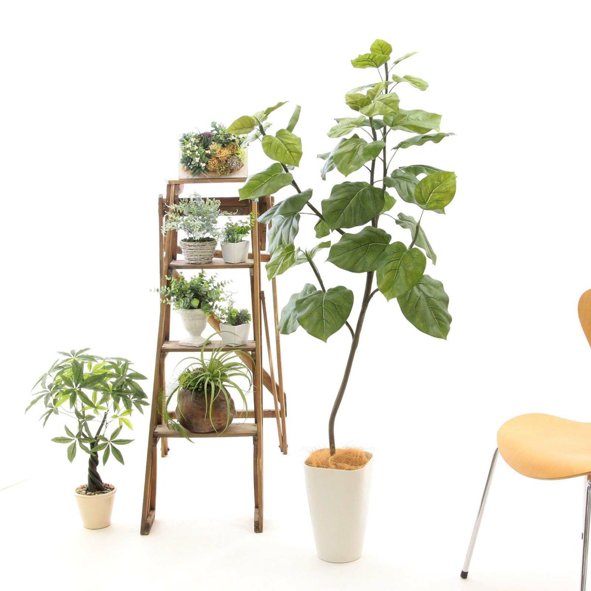 スマートポットCHIC8＋ヤシの繊維（+1500円）