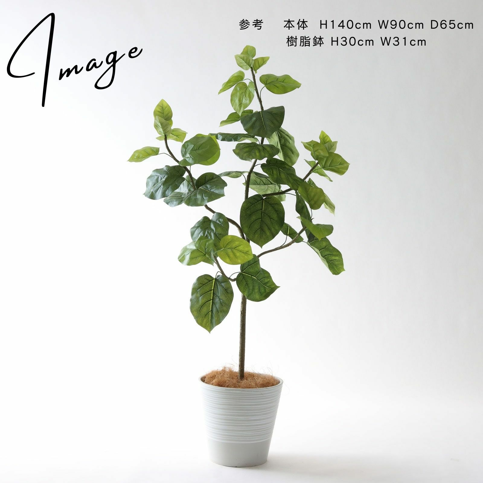 No92 プレミアム光触媒フェイクグリーン フィカス ウンベラータ 5枝 高さ150cm 幅65cm 奥行60cm 造花ドットコム Zouka Com No92 プレミアム光触媒フェイクグリーン フィカス ウンベラータ 5枝 高さ150cm 幅65cm 奥行60cm 造花ドットコム Zouka Com