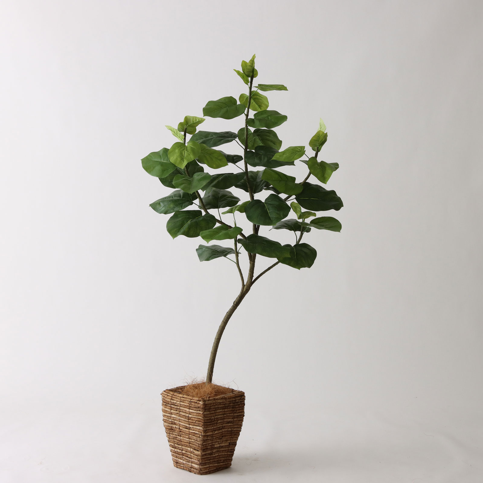バナナリーフバスケット小 KG4SRE＋ヤシの繊維（+3500円）