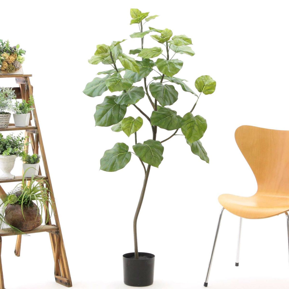 プラ鉢（+0円）