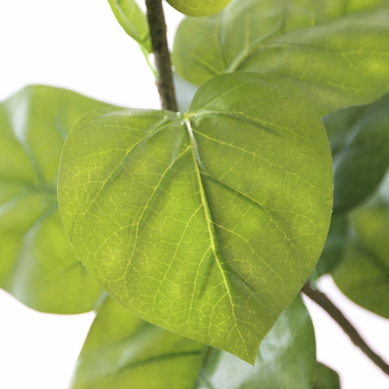 No9283 プレミアム光触媒フェイクグリーン 「柔らかな葉 × バランスの