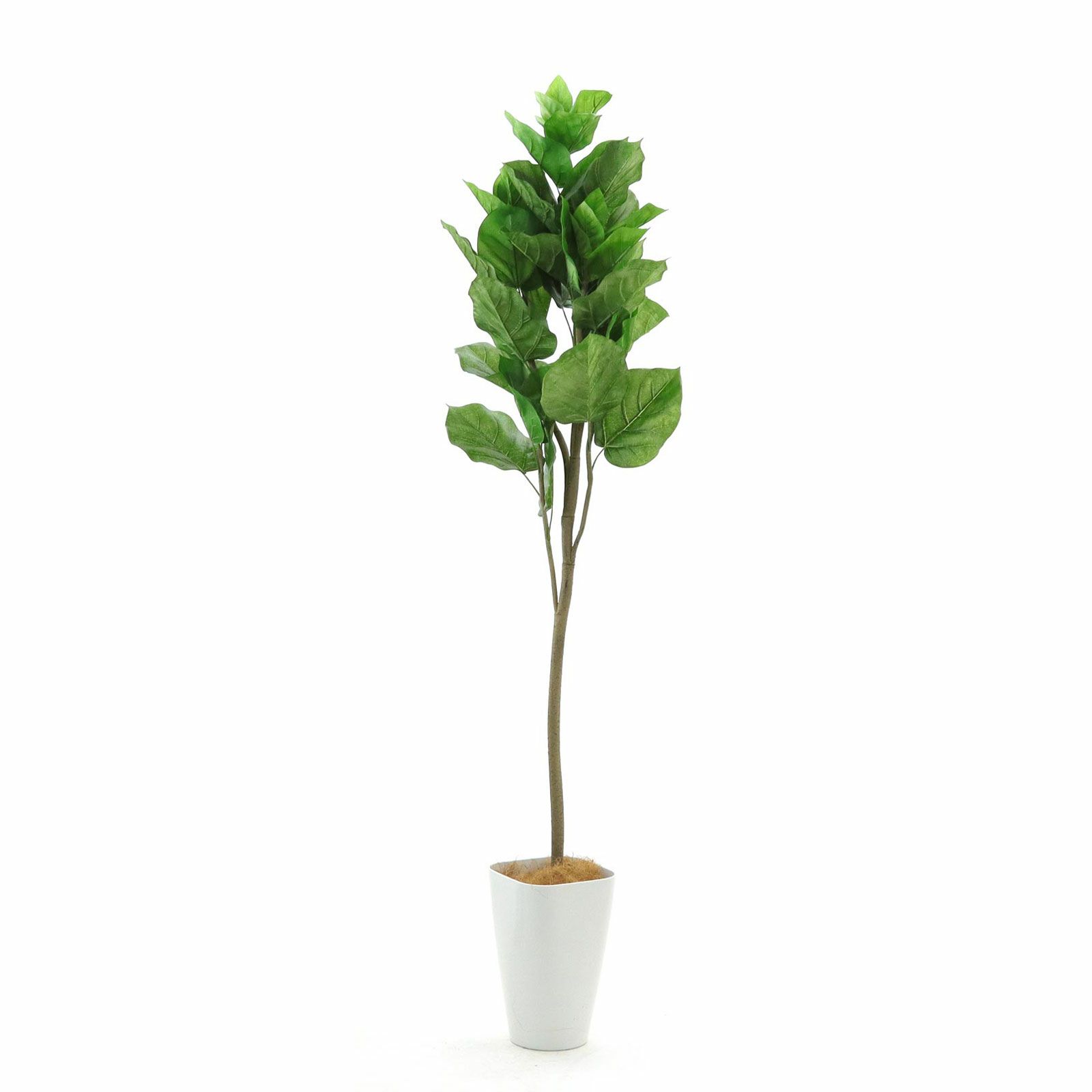 フェイクグリーン 観葉植物 フィカス ウンベラータ インテリアグリーン 造花 楽天市場】【5%OFFクーポン！お買い物マラソン】フィカス
