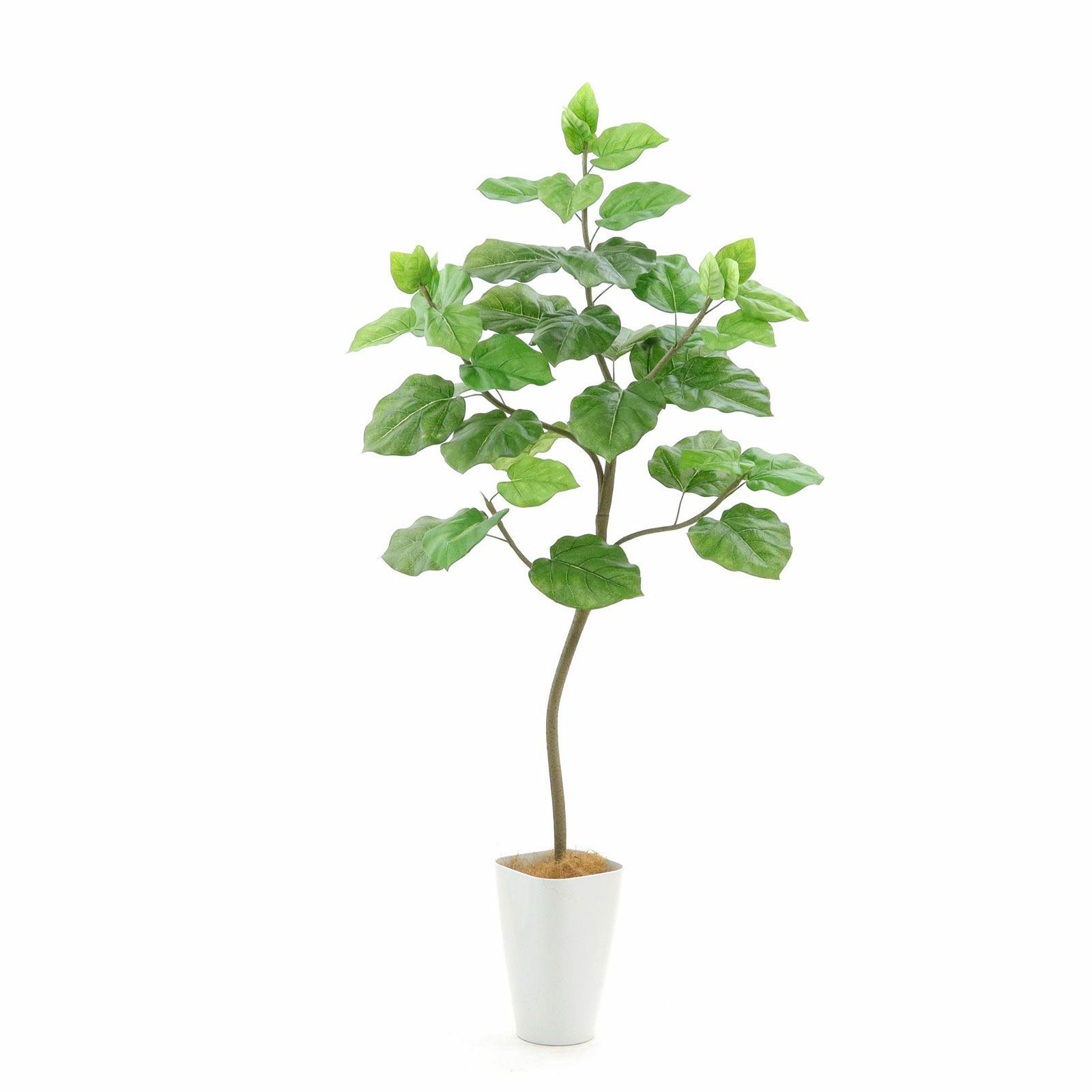 フェイクグリーン 観葉植物 フィカス ウンベラータ インテリアグリーン 造花 No9283 プレミアム光触媒フェイクグリーン 「柔らかな葉