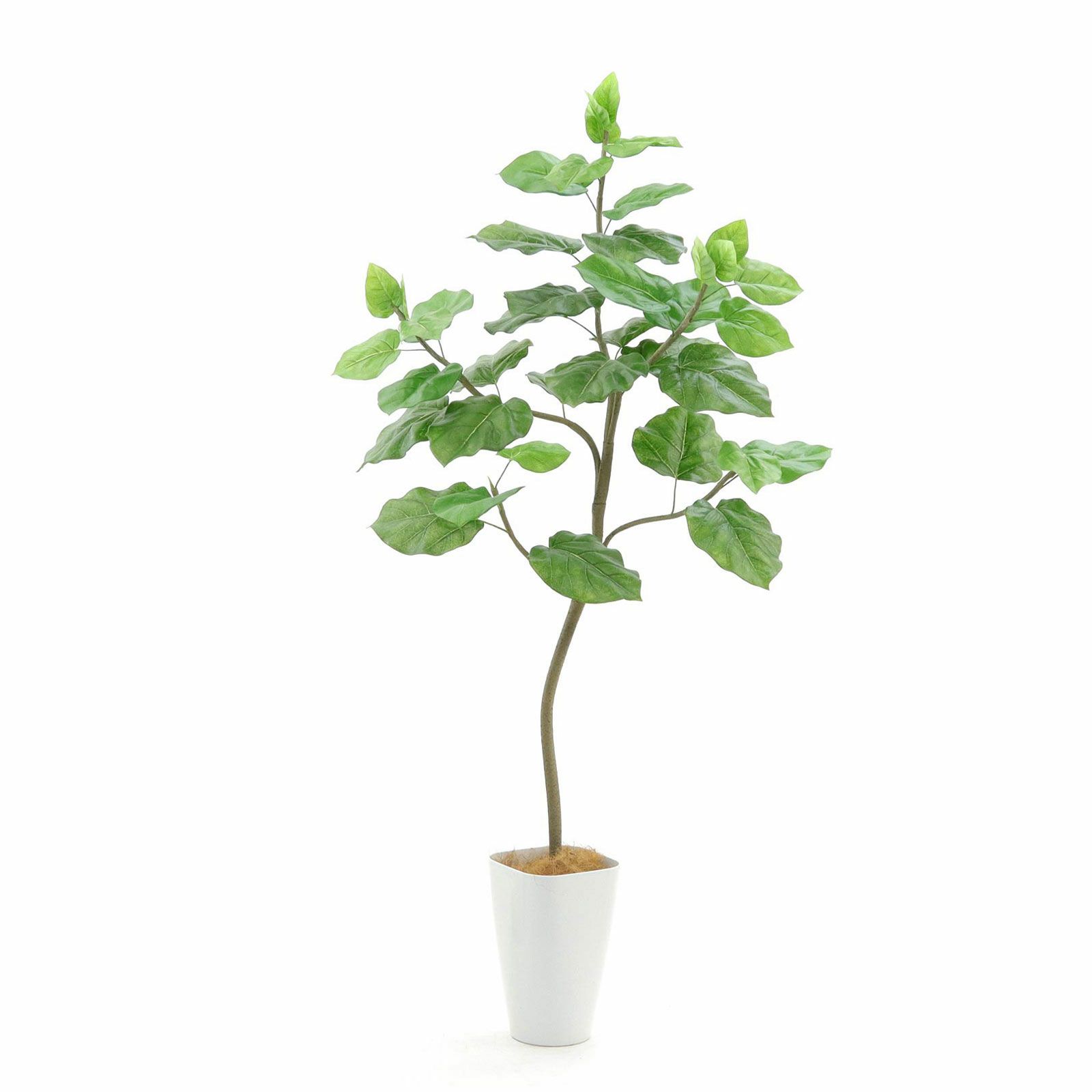 No9283 プレミアム光触媒フェイクグリーン 「柔らかな葉 × バランスの