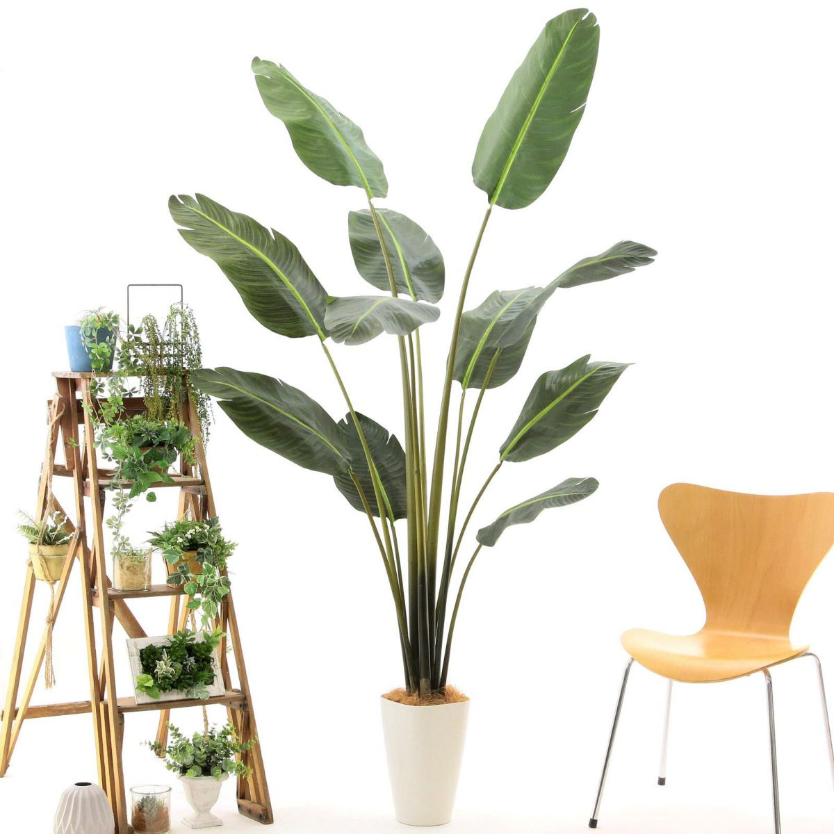 スマートポットCHIC8＋ヤシの繊維（+1500円）