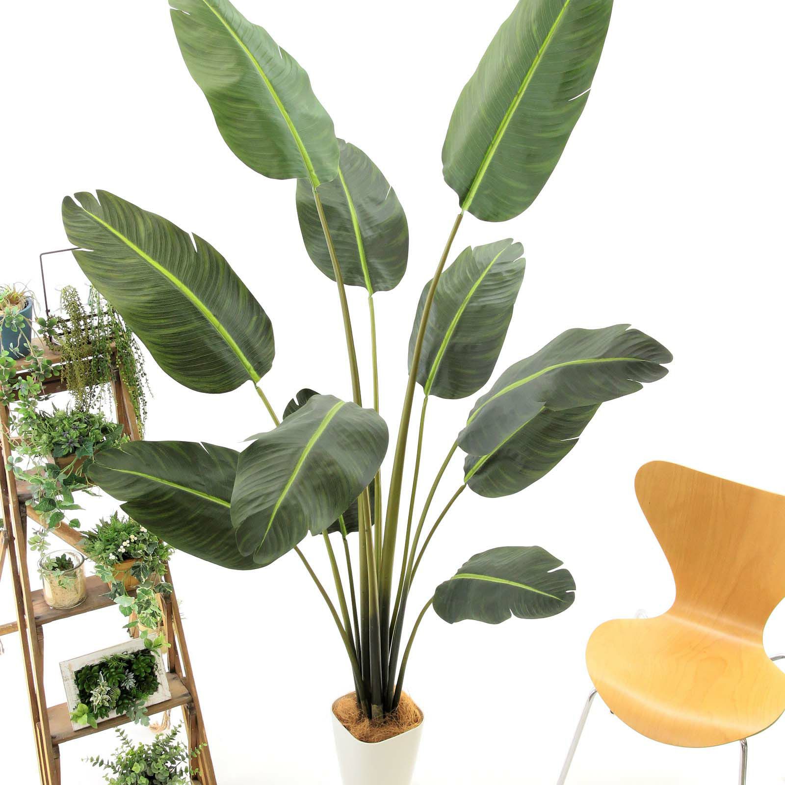 光触媒　人工観葉植物　フェイクグリーン　ストレリチアオーガスタMIX No9299 プレミアム光触媒フェイクグリーン 「大きく広がる葉
