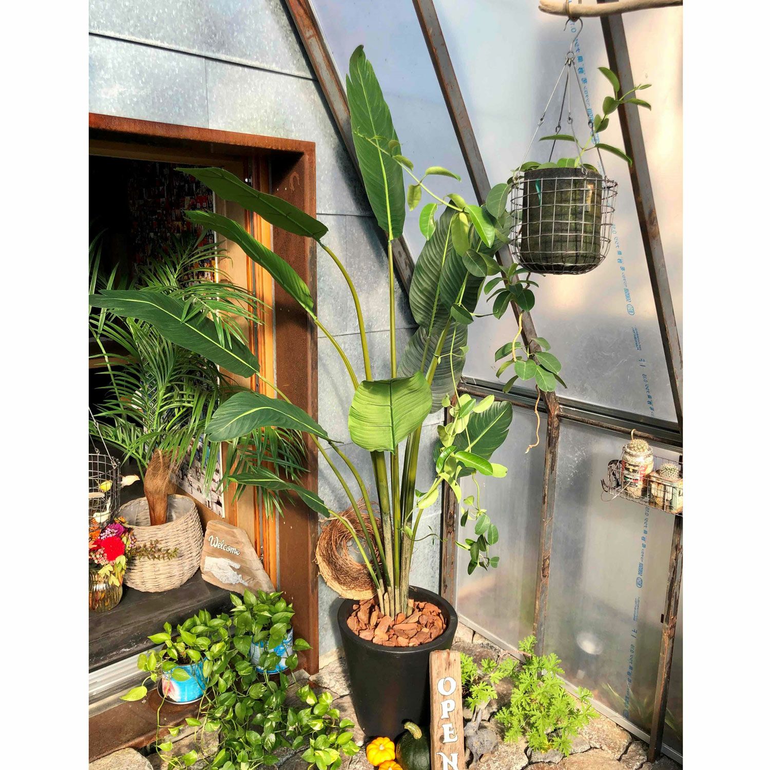 000000000069-21.jpg?t=