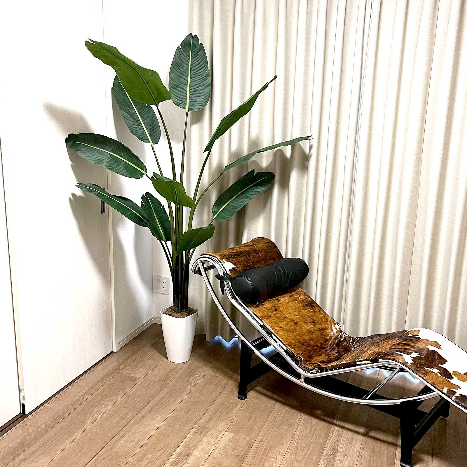 光触媒　人工観葉植物　フェイクグリーン　ストレリチアオーガスタMIX ストレリチア・オーガスタ MIX 鉢付｜東京堂のフェイクグリーン 光触媒