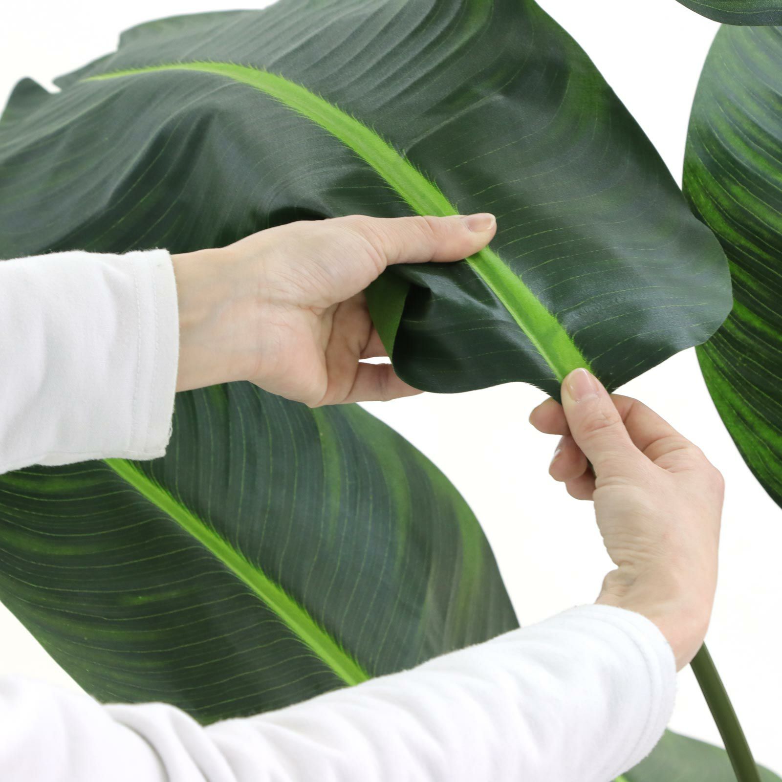 000000000069-32.jpg?t=