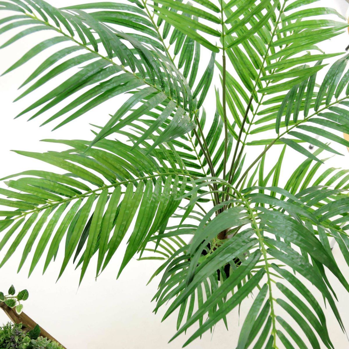 フェイクグリーン の アレカパームヤシ です