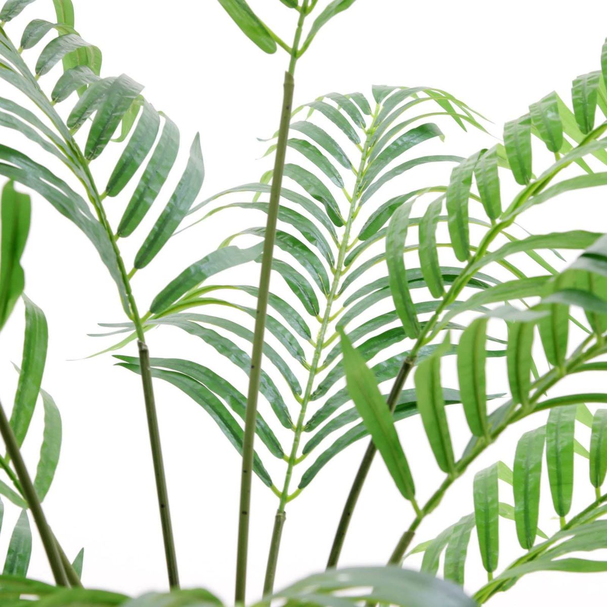 フェイクグリーン の アレカパームヤシ です