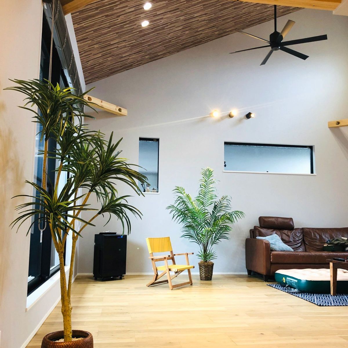 フェイクグリーン の アレカパームヤシ です