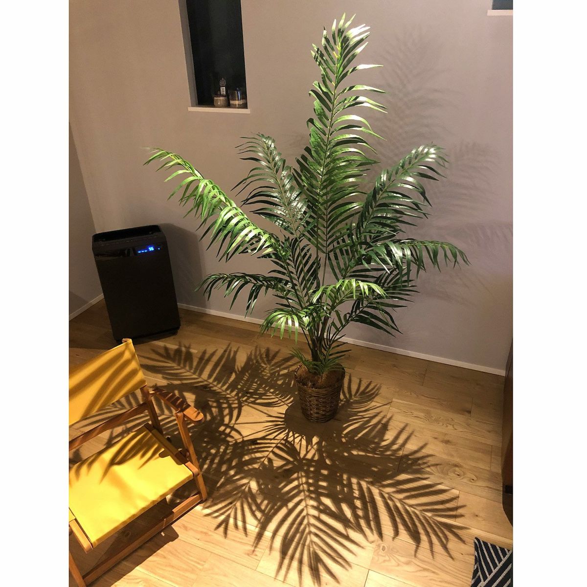 フェイクグリーン の アレカパームヤシ です