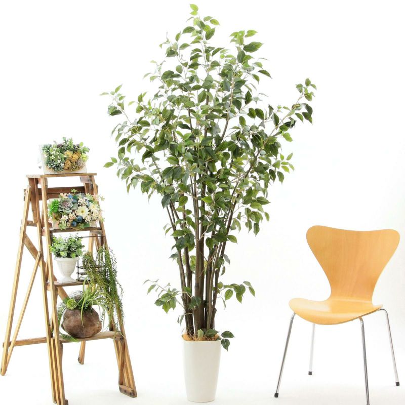 IKEA -FEJKA 人工観葉植物 ベンジャミン